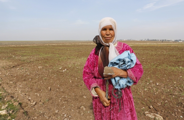 A farmer stands in a dry field in the Bouskoura village, outside Casablanca, Morocco, February 3, 2016.