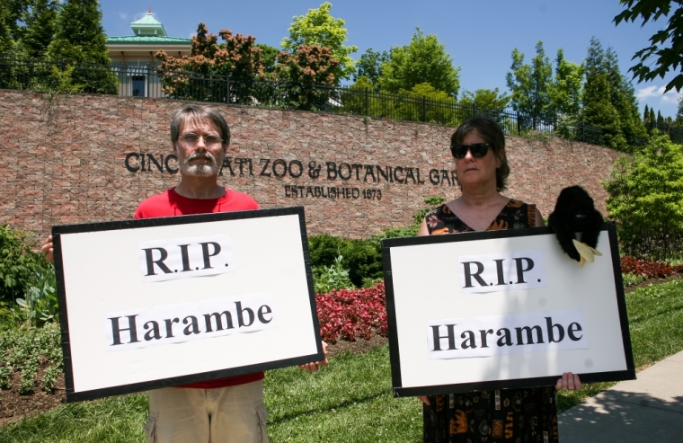 People attend a vigil outside the Cincinnati Zoo and Botanical Gardens, two days after a boy tumbled into its moat and officials were forced to kill Harambe, a Western lowland gorilla, in Cincinnati, Ohio, May 30, 2016.