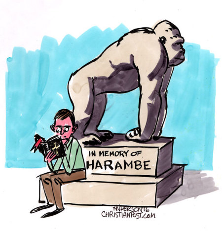 Credit :