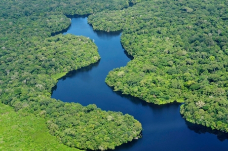 Aerial view of the Amazon Rainforest