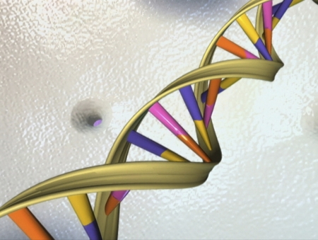 A DNA double helix is seen in an undated artist's illustration released by the National Human Genome Research Institute to Reuters on May 15, 2012. 