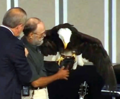 Bald Eagle Crashes Into Window at Oral Roberts University's Christ Chapel; Cheers Turn to Screams Amid Startling Accident