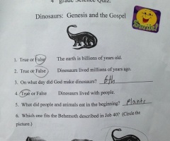 Creationism Christian School That Gave 'Dinosaurs-Genesis' Science Test Closes Due to Lack of Funds