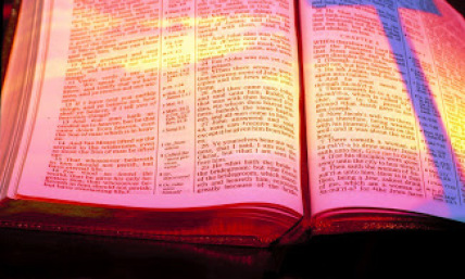 3 Crazy Things a Bible Has Been Used For