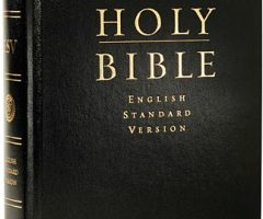 Top 5 Bible Translations in the US