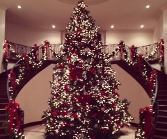 Kardashians' Giant Tree: Kendall Jenner Shares Impressive Christmas Photo