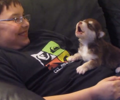 Boy Teaches 20-Day-Old Puppy How to Howl, Overwhelms You With Cuteness (VIDEO)