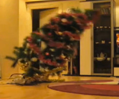 Who's Behind the War on Christmas? Watch This Funny Video to Find Out (VIDEO)