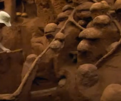 Creation is Amazing: You Have to See This Huge Subterranean City Built by Ants (VIDEO)