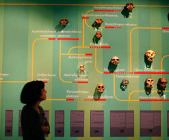 Why Do Fewer Republicans Believe in Evolution?