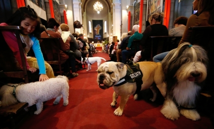 Maryland Pastor to Launch Monthly Dog-Friendly Church Services