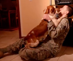 Airman Returns Home After 6 Months, Dog Goes Crazy Happy in the Most Heartwarming Way (VIDEO)