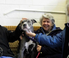 Nuns Adopt Dog That 'Nobody Else Wanted'; 9-Year-Old Pit Bull to Be Put Down (VIDEO)