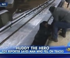 Man Falls on Train Track; Heroic Reporter Comes to the Rescue - Caught on Camera (VIDEO)