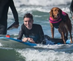 Surf Dog Helps One Teen Diagnosed With Brain and Spine Cancer Fulfill Dream to Ride the Waves