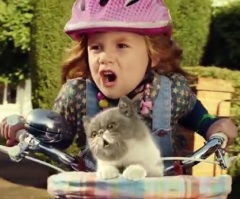 Little Girl and Cat Sing 'We Built This City' While Riding on a Bike - #SingItKitty Will Make You Laugh (VIDEO)