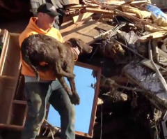 As Family Thinks They Lost Everything in Oso Mudslide, Searchers Make Amazing Discovery (VIDEO)