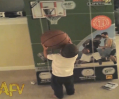 See the Hilarious Reason Why This Toddler Can't Get a Basketball Hoop to Work: It's Just a Box (VIDEO)