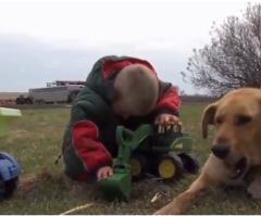 Dog Protects Missing Boy From Cold Until He's Found Safe