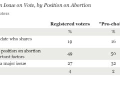 Pro-Lifers Have More Intensity But Fewer Registered Voters, Gallup Poll Shows