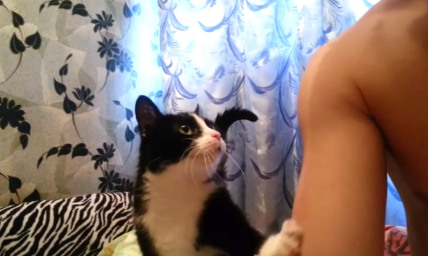 Sweetest Cat Ever: When You See What This Kitty Wants From Its Owner, Your Heart Will Melt (VIDEO)