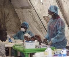 Illegal Immigrants Bring Risk of Ebola and Global Array of Viral Illnesses