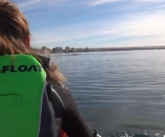 Incredible Video of a Kayak Getting Raised Up by a Whale on the Argentinean Coast – WOW! (VIDEO)