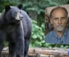 This Man Was Charged by a Deadly Black Bear – Thank God He Had His Guardian Angel With Him (VIDEO)