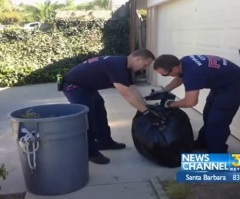 Firefighters Go Beyond Their Duties to Help an Elderly Woman Who Injured Herself on the Sidewalk