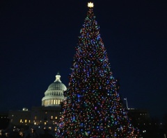 Christmas 'Undoubtedly' Has Pagan Roots 'But Having a Tree Isn't Worshipping a Pagan Idol,' Proclaims Christmas Enthusiast