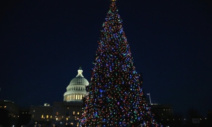 Christmas 'Undoubtedly' Has Pagan Roots 'But Having a Tree Isn't Worshipping a Pagan Idol,' Proclaims Christmas Enthusiast