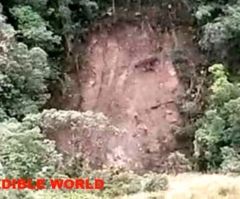 'Face of Jesus' Appears on Colombia Hillside Following Landslide; Crowds of Worshipers Flock to Site