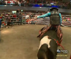 'Cowboy Pastor' Rides Bulls Inside Ohio Church Sanctuary to Attract People to Hearing the Gospel of Jesus Christ