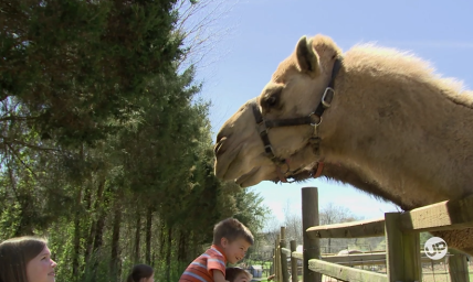 Exclusive Sneak Peek at 'Bringing Up Bates' New Episode: Family Meets Spitting Llamas at the Zoo