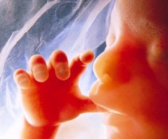 Pregnant Grad Student Gives Pro-Lifers 3 Days to Donate $1 Million to Her Unborn Baby or Else She Will Have an Abortion