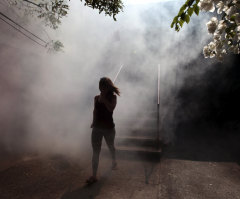 Zika Virus Outbreak Causing Deformed Babies Spreading in Americas, WHO Warns