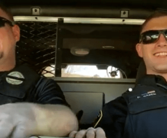 Why This Stunning Police Rendition of 'Don't Stop Believing' Got 1.4 Million Views