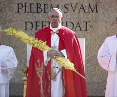 Pope Francis: People Who Ignore Plight of Refugees Are Like Those Who Washed Their Hands of Jesus' Suffering