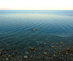 Is Dead Sea Fulfilling Bible's End Times Prophecy?