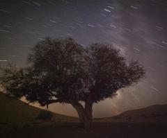 August's Perseid Meteor Shower Will Be Spectacular With Double Meteors Diving Into Earth's Atmosphere, NASA Says