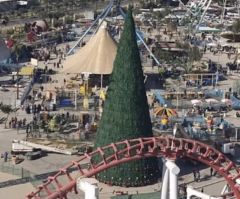 Iraqi Muslim Erects Giant Christmas Tree in Baghdad to Show Solidarity With Christians