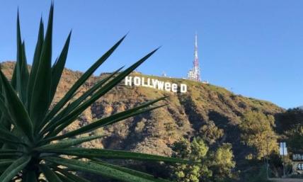 New Year's Prank Alters Iconic LA 'HOLLYWOOD' Sign to Read 'HOLLYWeeD'