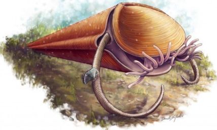 Scientists Identify Bizarre 500 Million Year Old Sea Creature