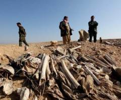 ISIS Buried Over 1,600 Bodies in Mass Graves in Yazidi Town of Sinjar