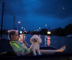 Pastor Trapped in Houston Describes 'Traumatic' Flood as Experts Say It Could Make Natural Disaster History