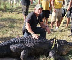 Harvey Floodwaters Could Unleash 350 Alligators From Texas Tourist Attraction