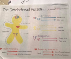 Teacher Suspended for Giving 11-Y-O Students 'Gender Identity' Sex Packets