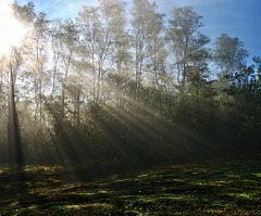 Hanukkah Day Five — Take Time to See the Light