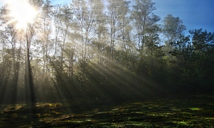 Hanukkah Day Five — Take Time to See the Light