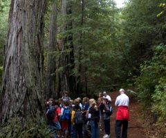 Atheist Group Forces California School District to Cancel Field Trip to Christian Camp